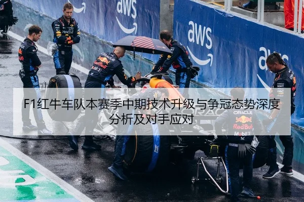 F1红牛车队本赛季中期技术升级与争冠态势深度分析及对手应对