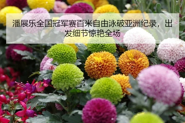 潘展乐全国冠军赛百米自由泳破亚洲纪录，出发细节惊艳全场